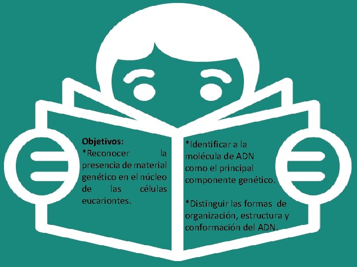 Objetivos: *Reconocer la presencia de material genético en el núcleo de las células eucariontes.