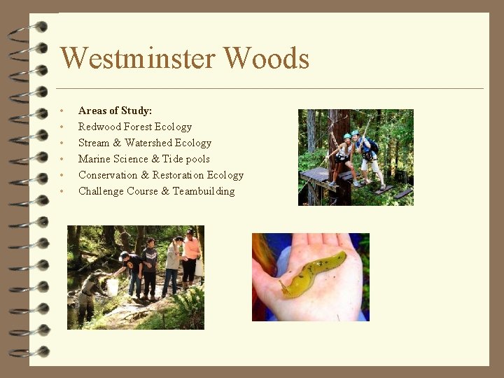 Westminster Woods • • • Areas of Study: Redwood Forest Ecology Stream & Watershed