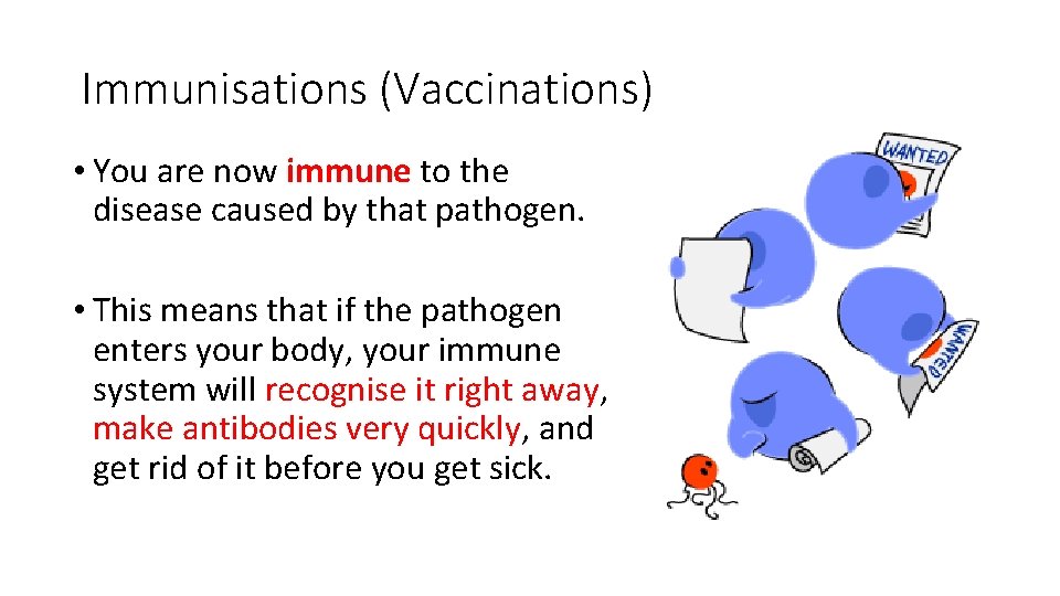 Immunisations (Vaccinations) • You are now immune to the disease caused by that pathogen.