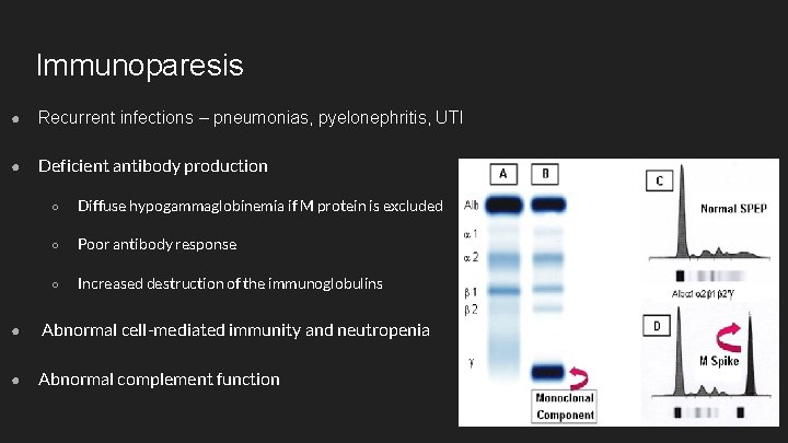 Immunoparesis ● Recurrent infections – pneumonias, pyelonephritis, UTI ● Deficient antibody production ○ Diffuse