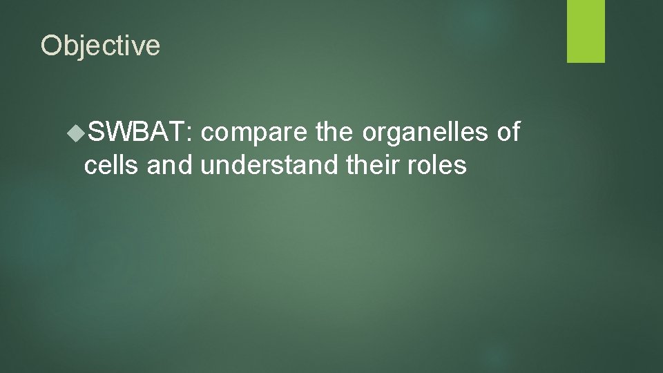 Objective SWBAT: compare the organelles of cells and understand their roles 