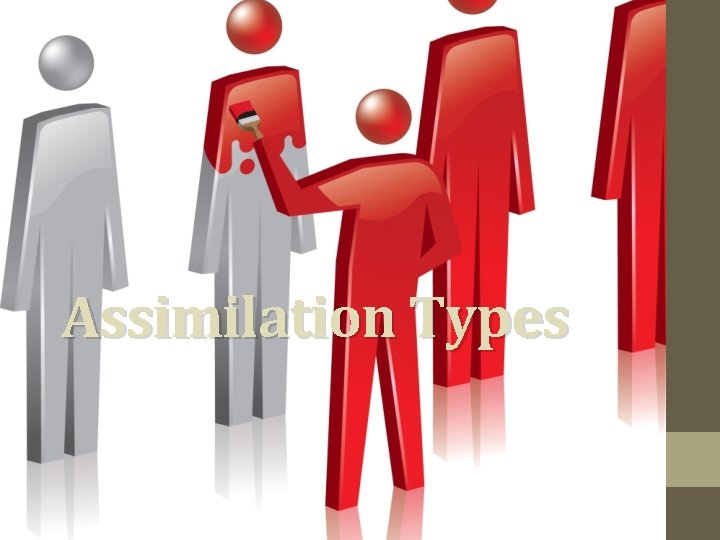 Assimilation Types 