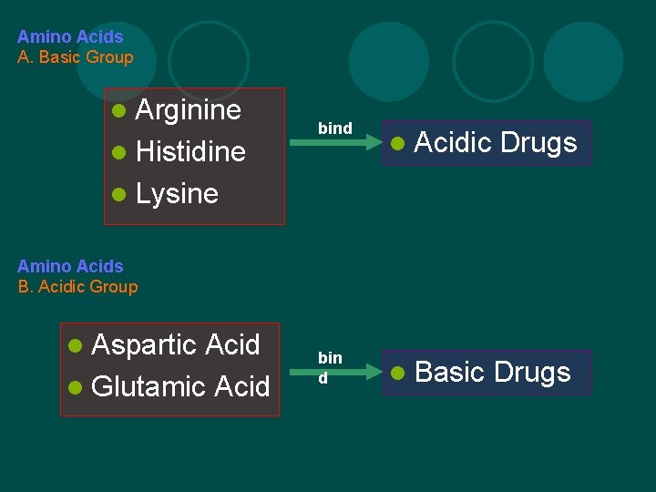 Amino Acids A. Basic Group l Arginine l Histidine bind l Acidic Drugs bin