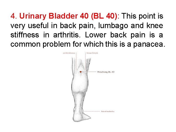 4. Urinary Bladder 40 (BL 40): This point is very useful in back pain,