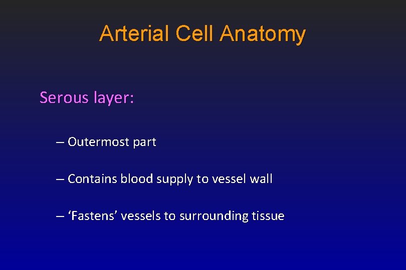 Arterial Cell Anatomy Serous layer: – Outermost part – Contains blood supply to vessel