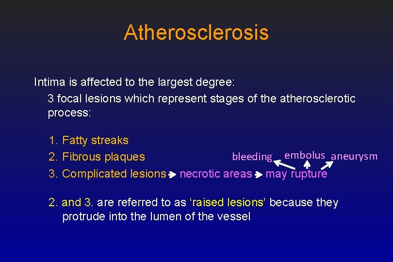 Atherosclerosis Intima is affected to the largest degree: 3 focal lesions which represent stages