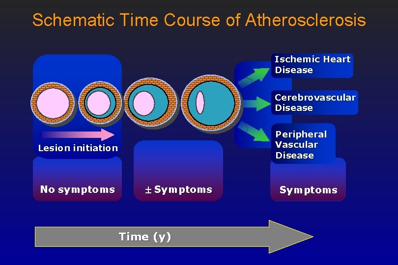 Schematic Time Course of Atherosclerosis Ischemic Heart Disease Cerebrovascular Disease Peripheral Vascular Disease Lesion