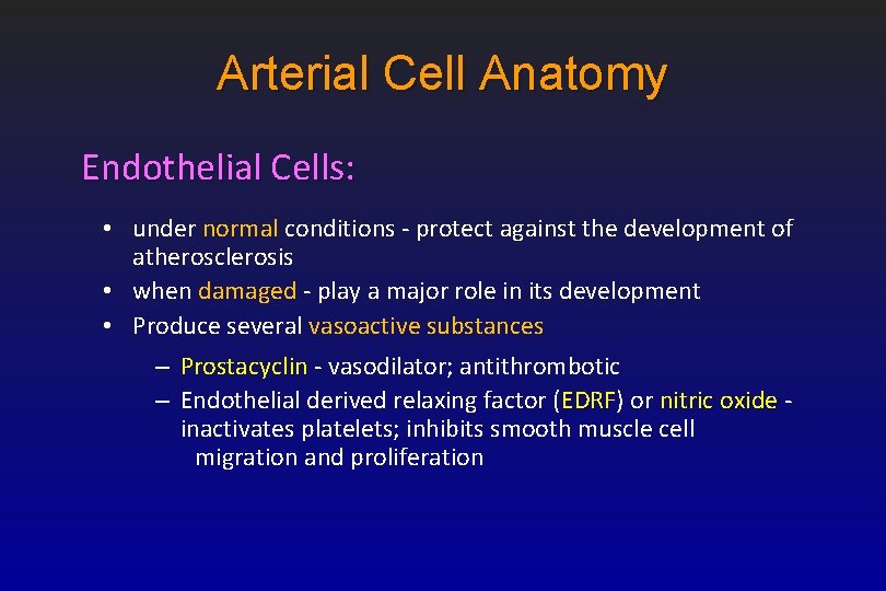 Arterial Cell Anatomy Endothelial Cells: • under normal conditions - protect against the development