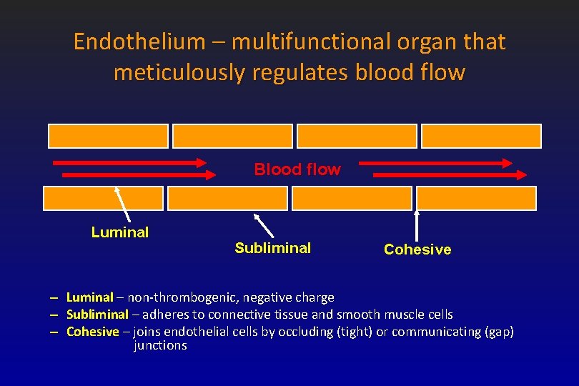 Endothelium – multifunctional organ that meticulously regulates blood flow Blood flow Luminal Subliminal Cohesive