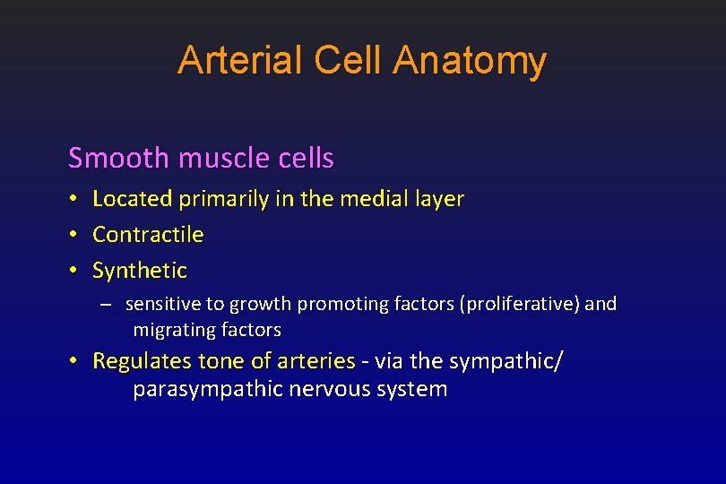 Arterial Cell Anatomy Smooth muscle cells • Located primarily in the medial layer •