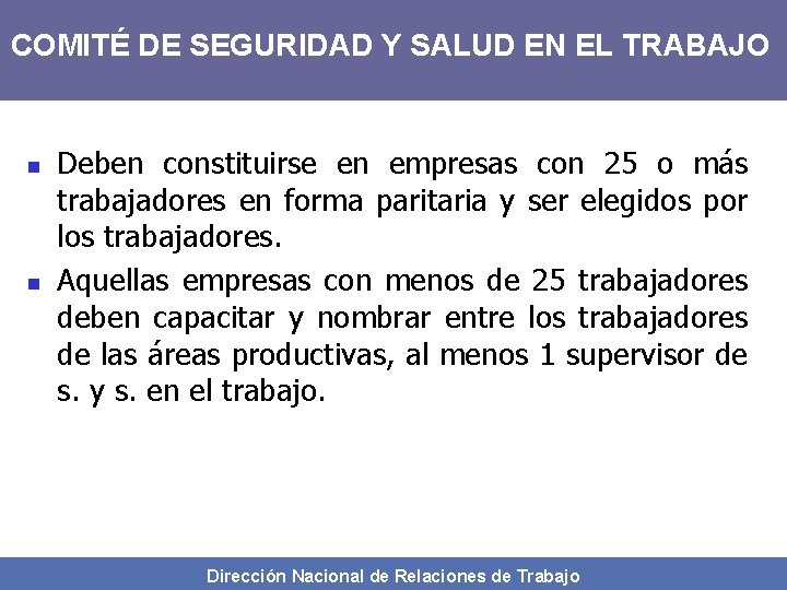 COMITÉ DE SEGURIDAD Y SALUD EN EL TRABAJO n n Deben constituirse en empresas