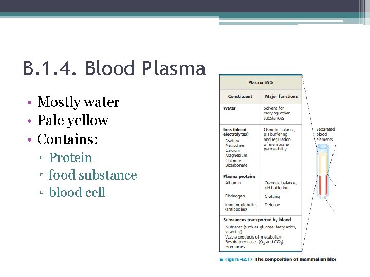 B. 1. 4. Blood Plasma • Mostly water • Pale yellow • Contains: ▫