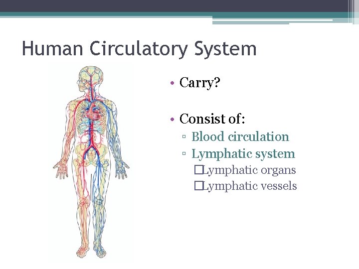 Human Circulatory System • Carry? • Consist of: ▫ Blood circulation ▫ Lymphatic system