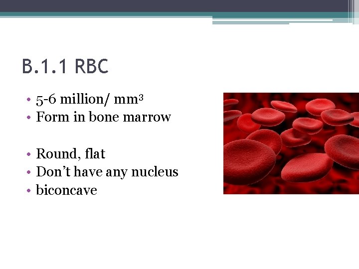 B. 1. 1 RBC • 5 -6 million/ mm 3 • Form in bone