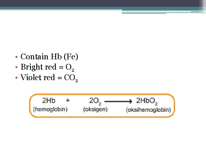  • Contain Hb (Fe) • Bright red = O 2 • Violet red