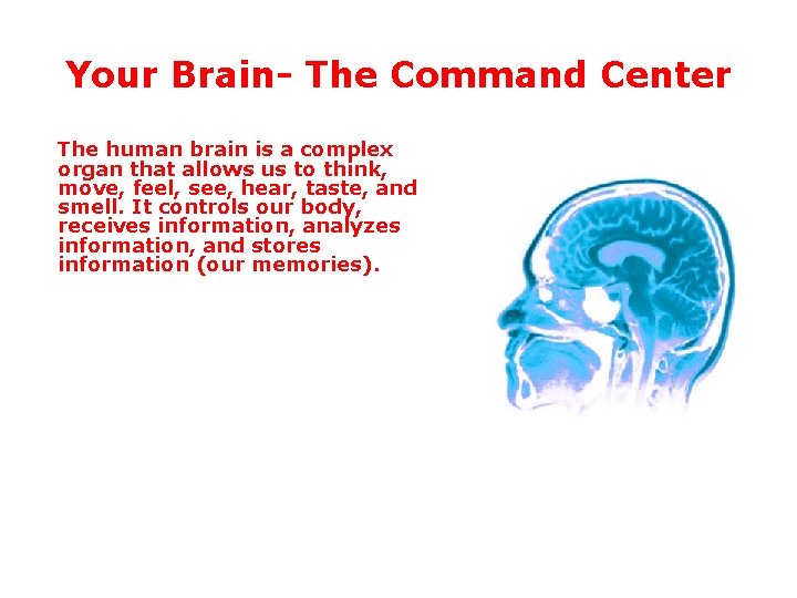 Your Brain- The Command Center The human brain is a complex organ that allows