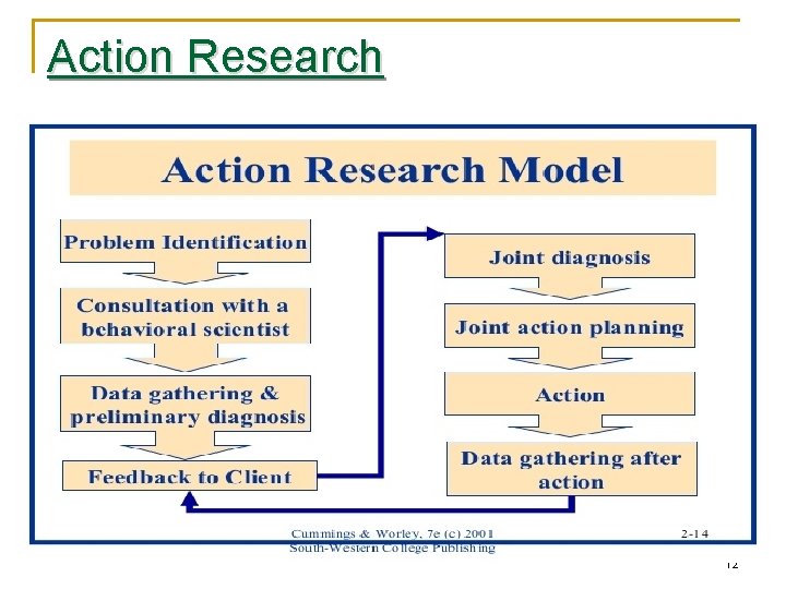 Action Research 12 