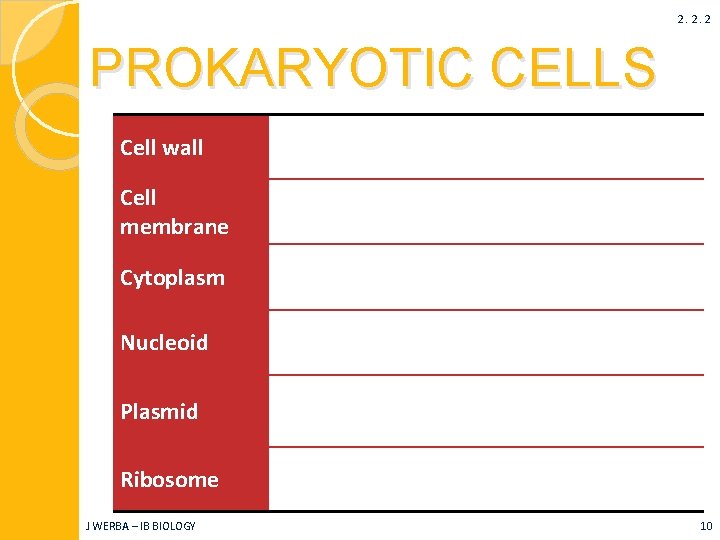 2. 2. 2 PROKARYOTIC CELLS Cell wall A rigid outer layer that maintains shape