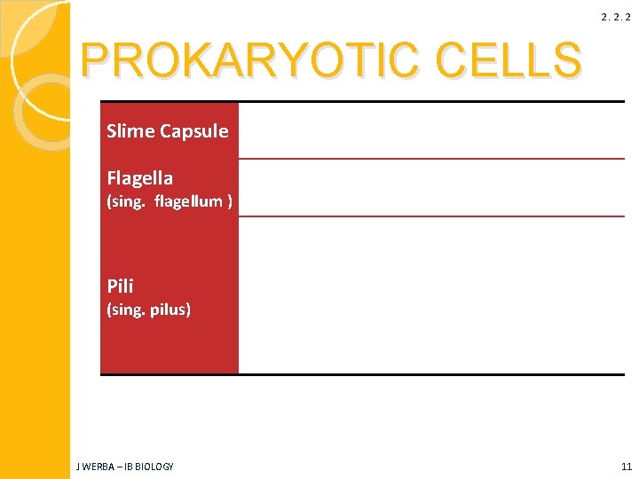 2. 2. 2 PROKARYOTIC CELLS Slime Capsule Protects against desiccation (drying out) and phagocytosis