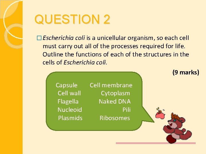 QUESTION 2 � Escherichia coli is a unicellular organism, so each cell must carry