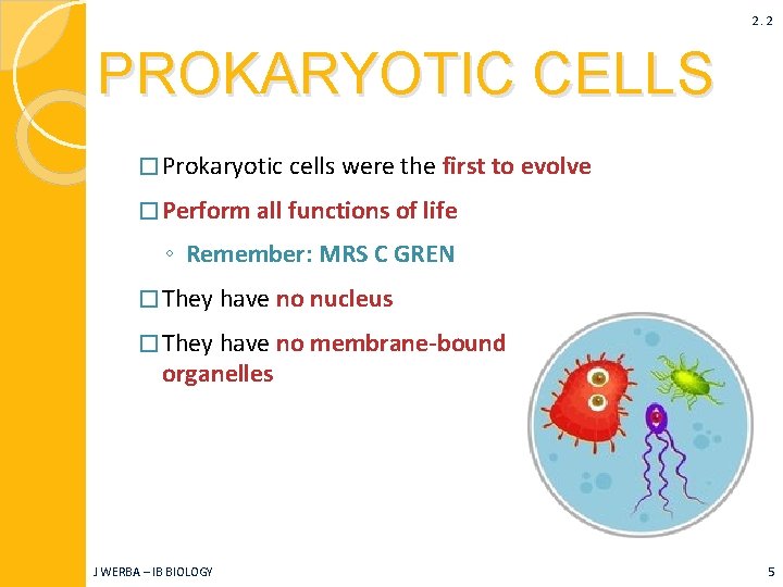 2. 2 PROKARYOTIC CELLS � Prokaryotic cells were the first to evolve � Perform