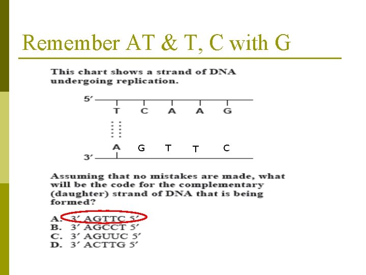 Remember AT & T, C with G G T T C 