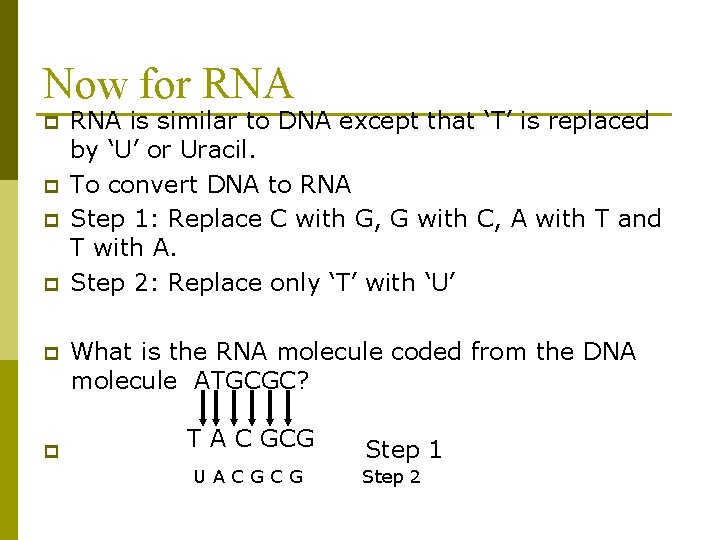 Now for RNA p p p RNA is similar to DNA except that ‘T’