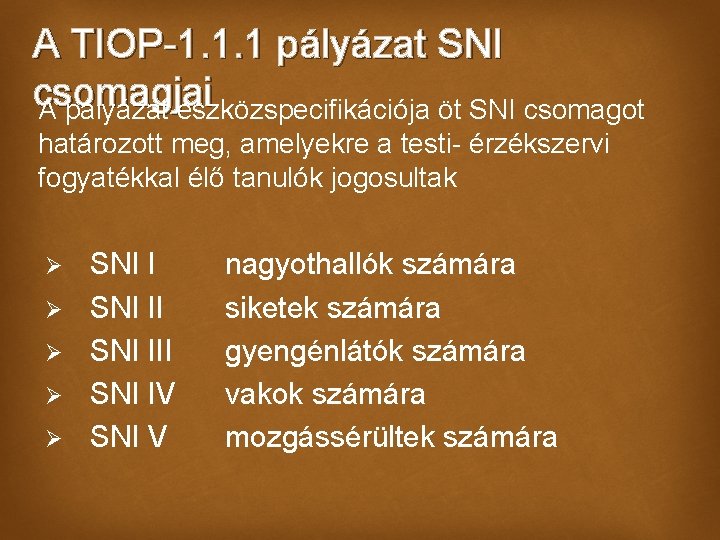 A TIOP-1. 1. 1 pályázat SNI csomagjai A pályázat eszközspecifikációja öt SNI csomagot határozott