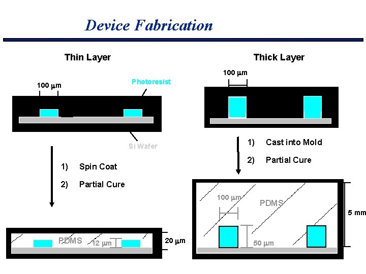 Device Fabrication Thin Layer Thick Layer 100 mm Photoresist 100 mm 50 mm 12