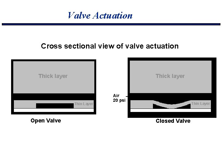 Valve Actuation Cross sectional view of valve actuation Thick layer Thin Layer Open Valve