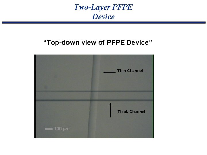 Two-Layer PFPE Device “Top-down view of PFPE Device” Thin Channel Thick Channel 100 mm