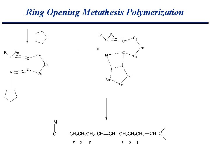 Ring Opening Metathesis Polymerization 