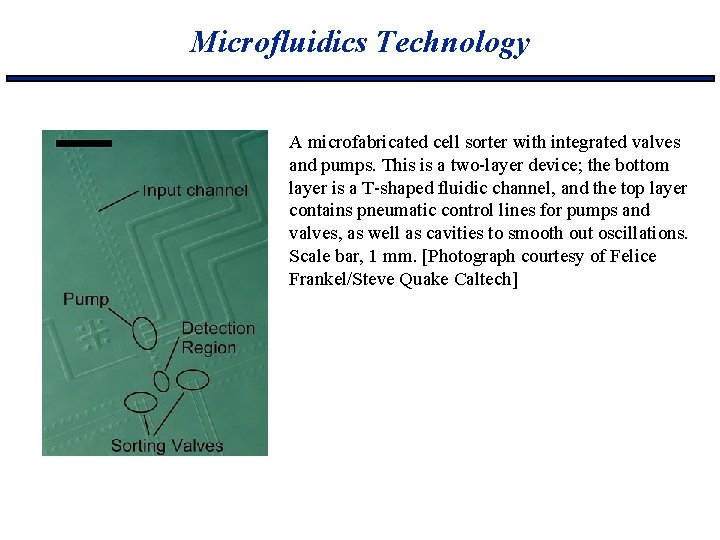 Microfluidics Technology A microfabricated cell sorter with integrated valves and pumps. This is a