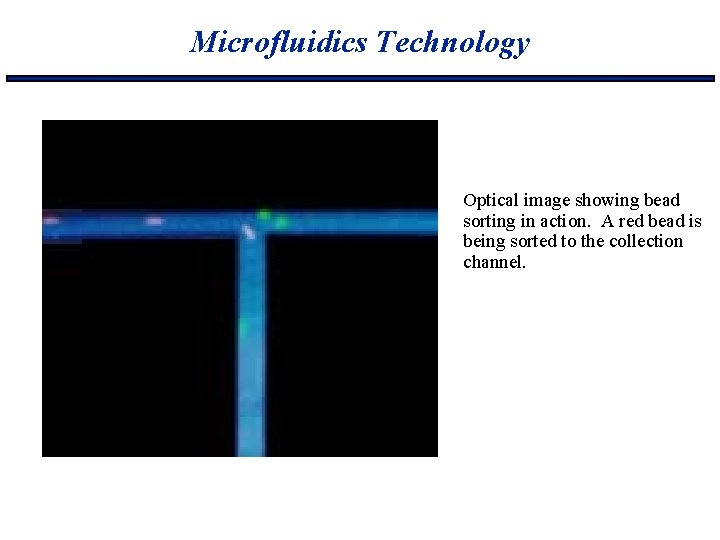 Microfluidics Technology Optical image showing bead sorting in action. A red bead is being