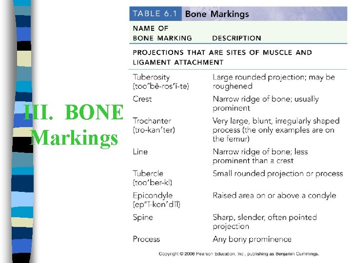 III. BONE Markings 