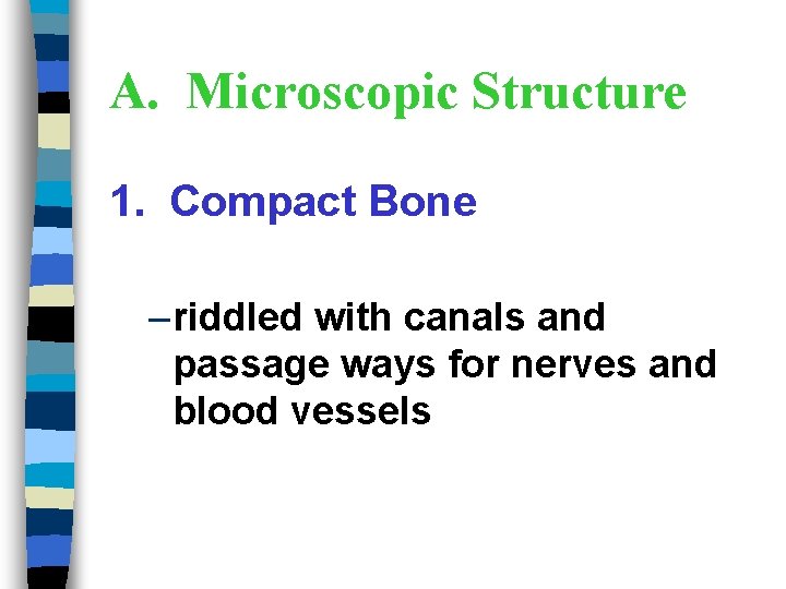 A. Microscopic Structure 1. Compact Bone – riddled with canals and passage ways for