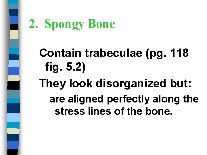 2. Spongy Bone Contain trabeculae (pg. 118 fig. 5. 2) They look disorganized but: