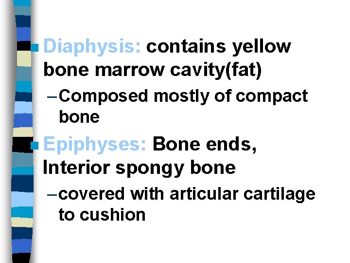 n Diaphysis: contains yellow bone marrow cavity(fat) – Composed mostly of compact bone n