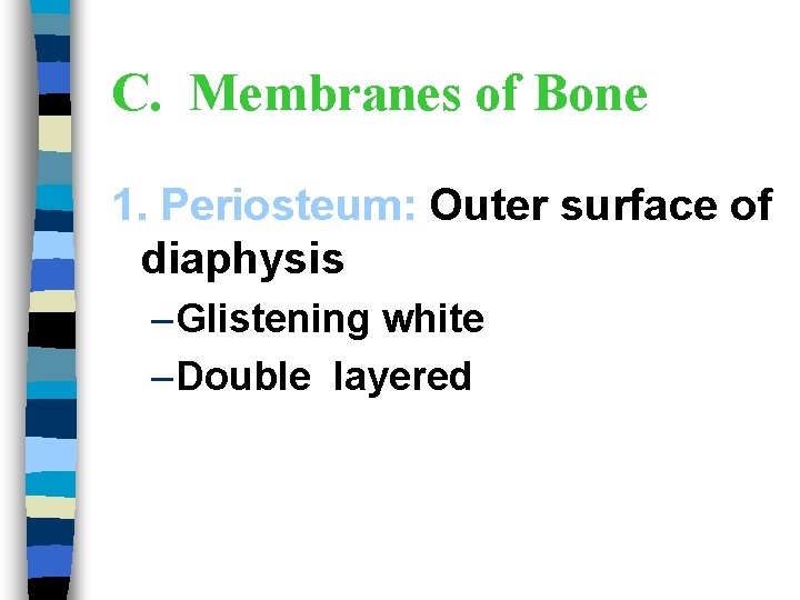 C. Membranes of Bone 1. Periosteum: Outer surface of diaphysis – Glistening white –