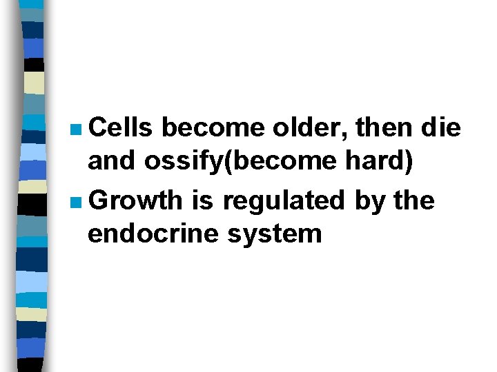 n Cells become older, then die and ossify(become hard) n Growth is regulated by