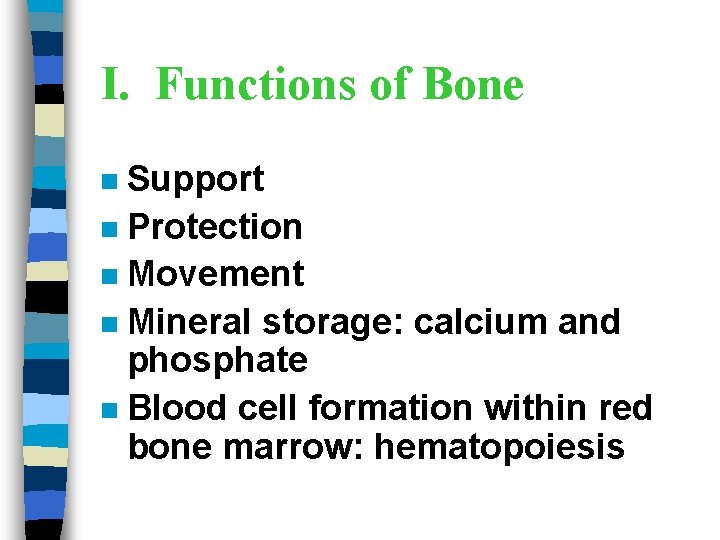 I. Functions of Bone Support n Protection n Movement n Mineral storage: calcium and