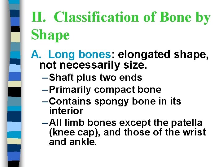 II. Classification of Bone by Shape A. Long bones: elongated shape, not necessarily size.