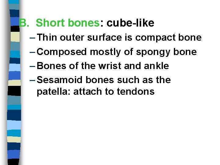 B. Short bones: cube-like – Thin outer surface is compact bone – Composed mostly
