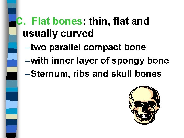 C. Flat bones: thin, flat and usually curved – two parallel compact bone –