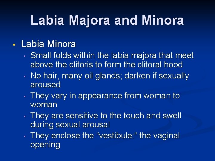 Labia Majora and Minora • Labia Minora • • • Small folds within the
