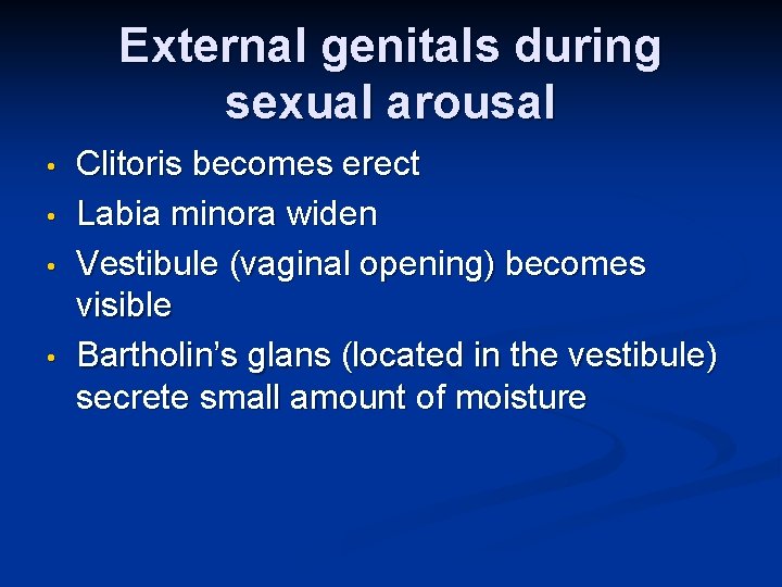 External genitals during sexual arousal • • Clitoris becomes erect Labia minora widen Vestibule