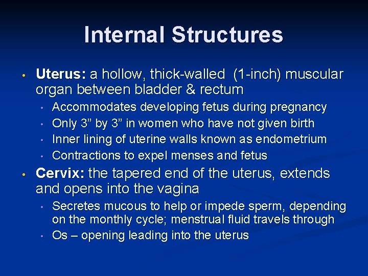 Internal Structures • Uterus: a hollow, thick-walled (1 -inch) muscular organ between bladder &