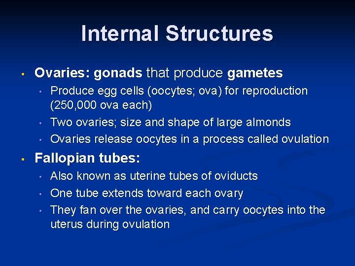 Internal Structures • Ovaries: gonads that produce gametes • • Produce egg cells (oocytes;