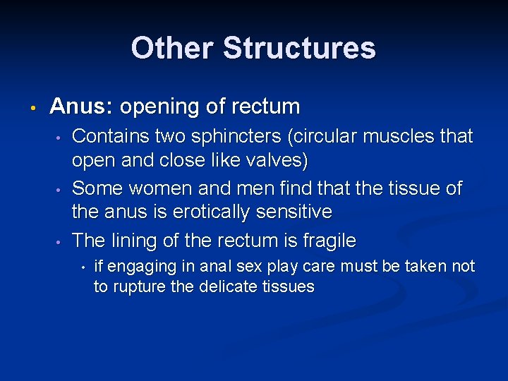 Other Structures • Anus: opening of rectum • • • Contains two sphincters (circular