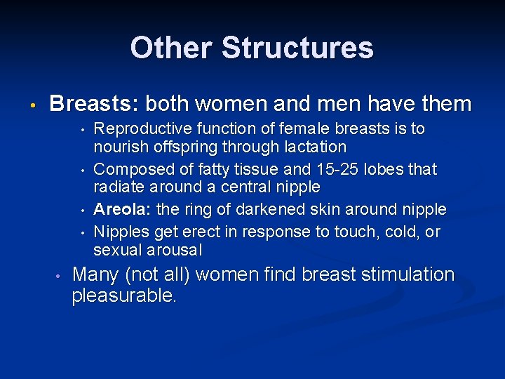 Other Structures • Breasts: both women and men have them • • • Reproductive